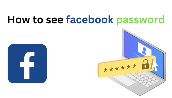 how to see facebook password